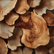 Virginian Cedarwood